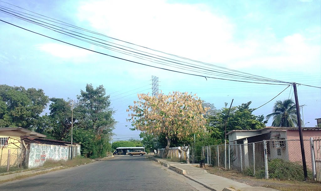 Red Vial Terciaria_ Calle Coto Paúl_ Uso Residencial by fab_zac