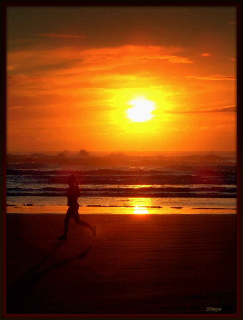 Running On Natures Track by Shimya