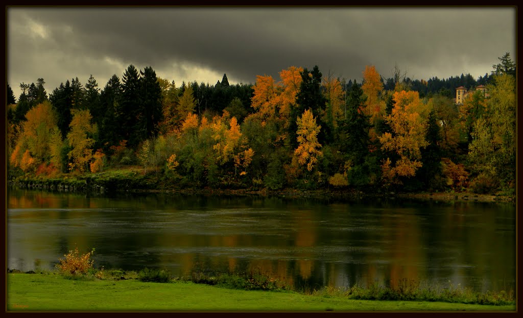 Reflections of Fall on the River by Shimya