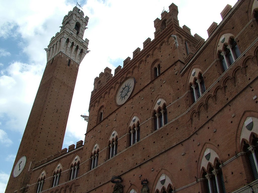 PALAZZO DEL COMUNE E TORRE DEL MANGIA by CARFULCO59