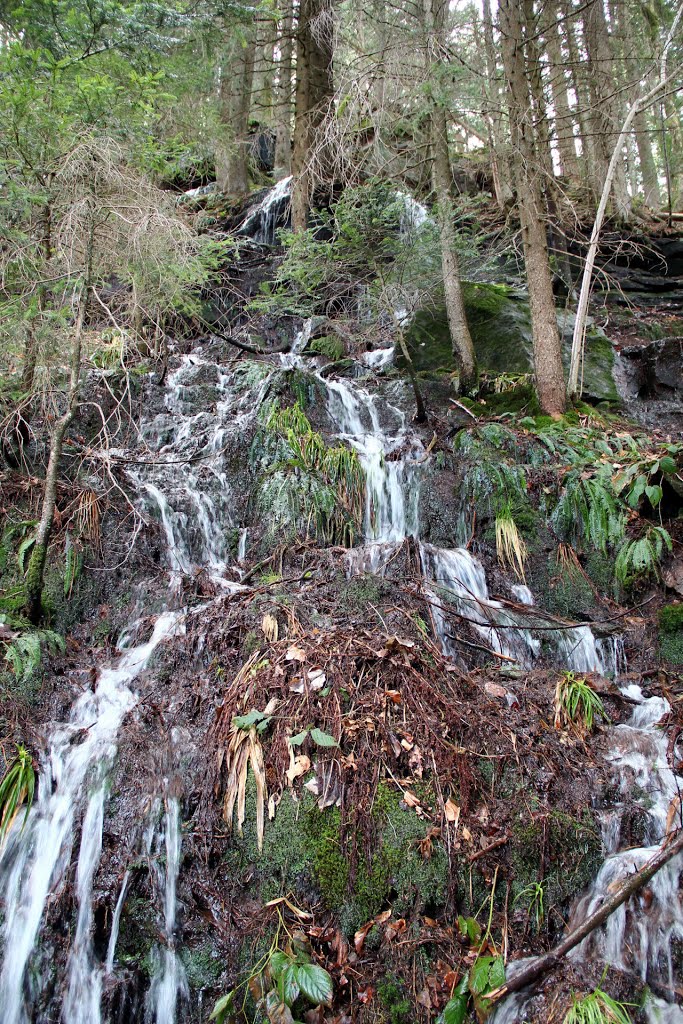 Sankenbach Wasserfälle ●(270°) by © Roland