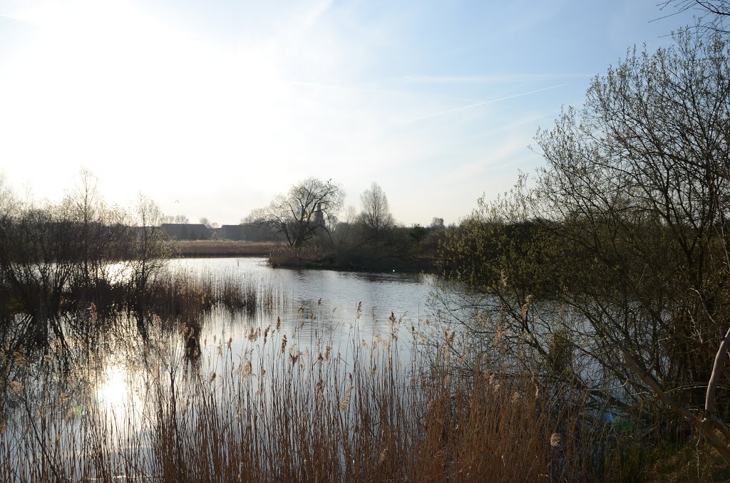 Mühlensee Vehlefanz by Oliver Nordt