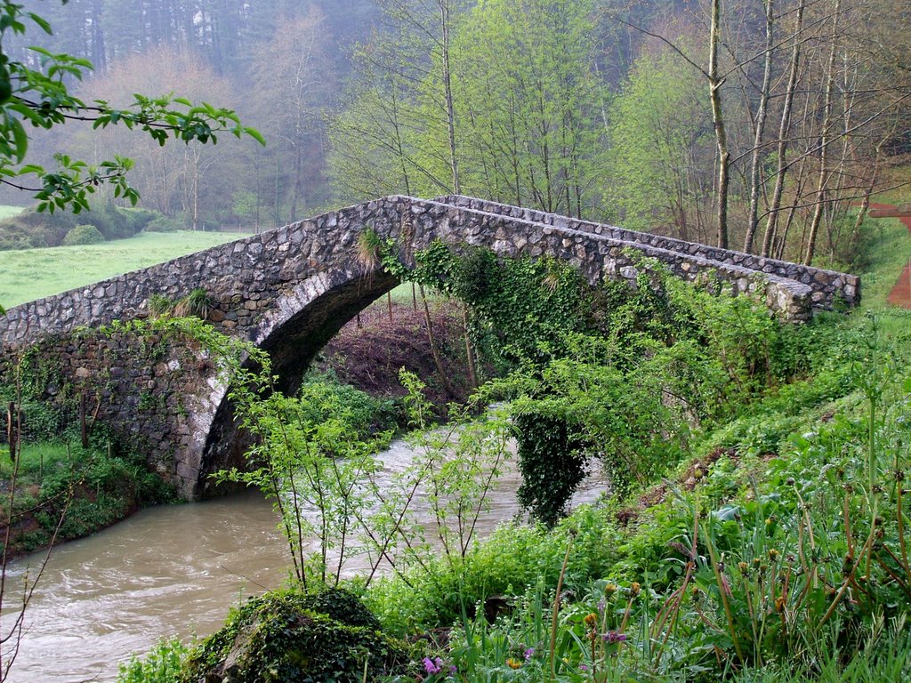 PUENTE DEL BIDEGORRI by xabijavi