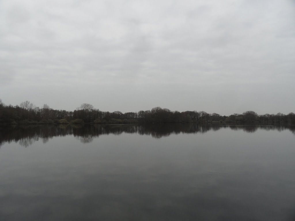 DE - Nettetal - Am Wittsee (zicht op Grosser De Witt See) by Danny Danckaert