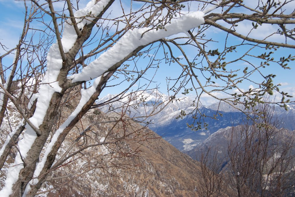 Neve di Primavera by Sergio Canobbio