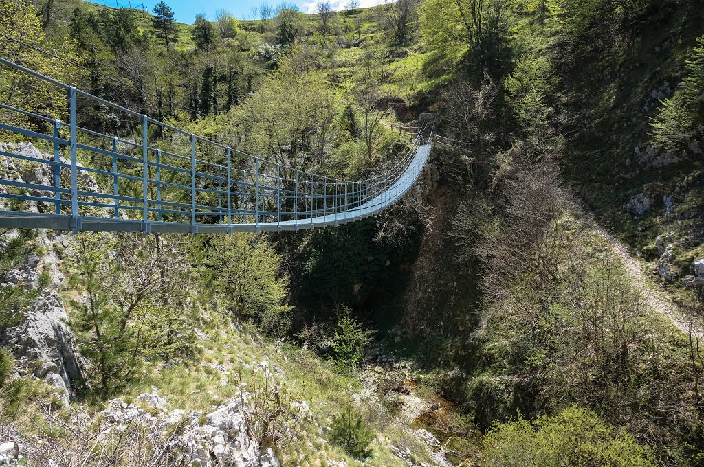 Ponte sospeso by ginpet72