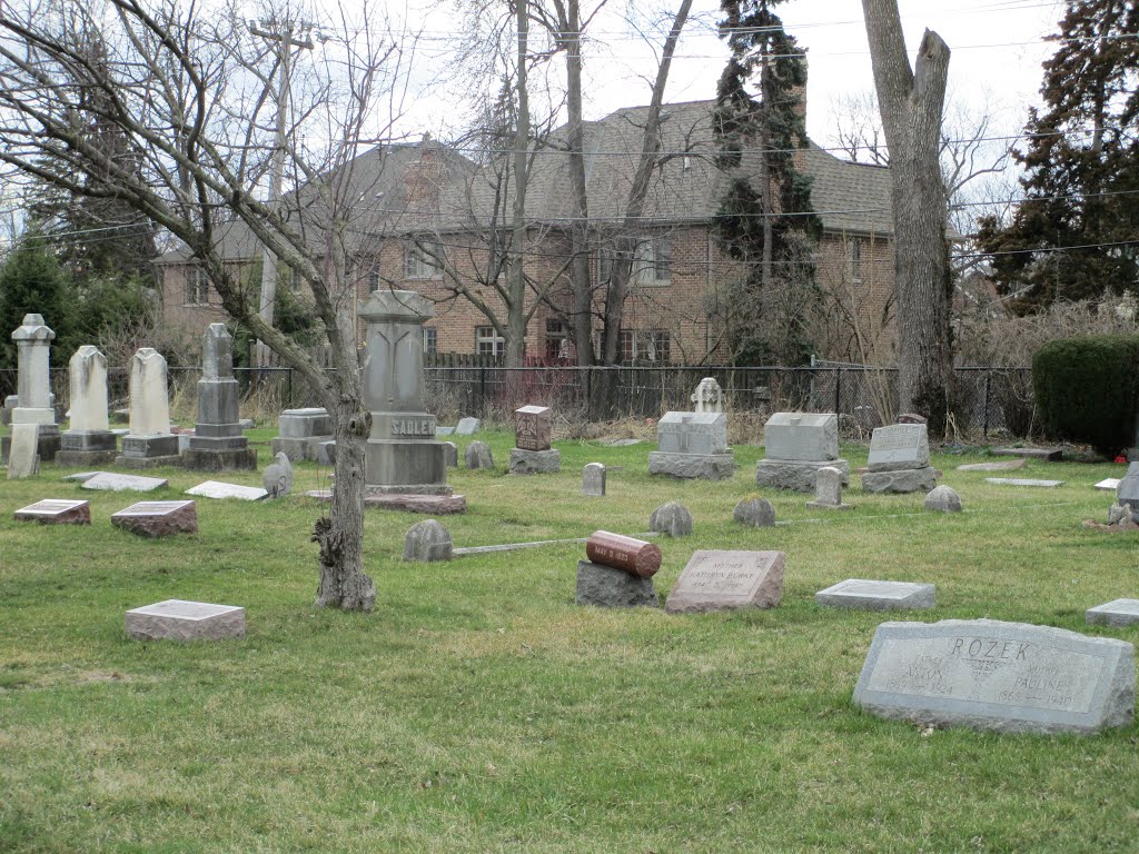 Saint Mary's Cemetery by eliz0036