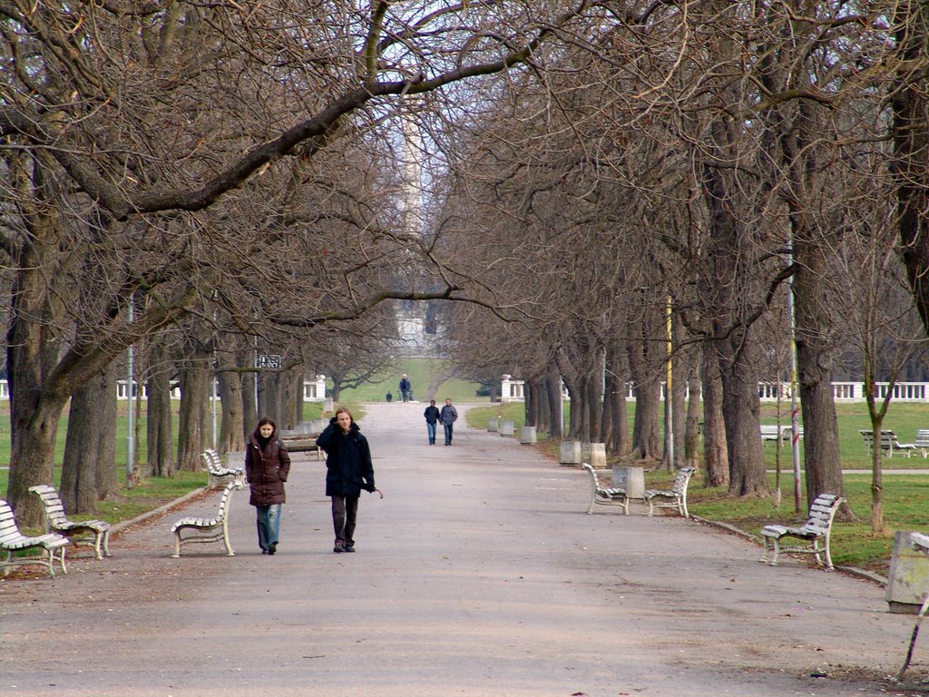 The "Borisova" Garden 07.03.08 11 by Aleksander Nikolov