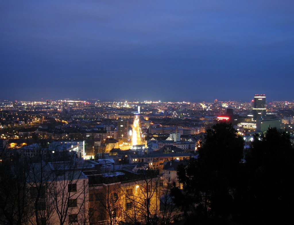 Eastern view from Slavin at the night, February 2007 by flame4fun