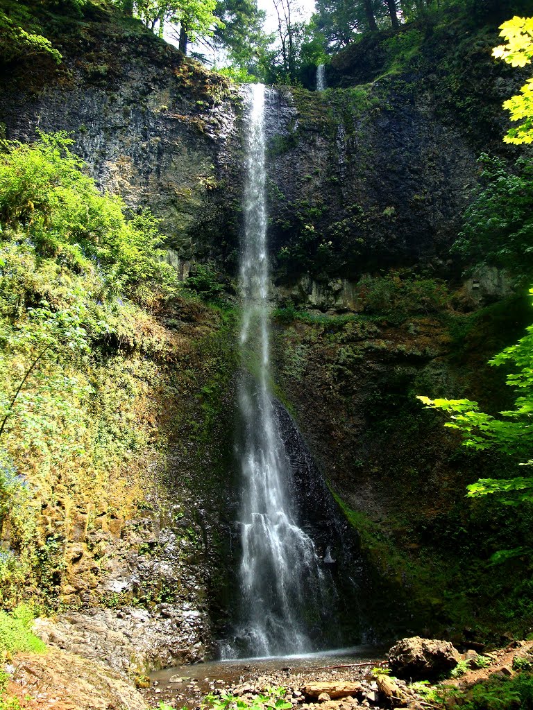 Double Falls, Silver Falls State Park, OR by backpacker2004