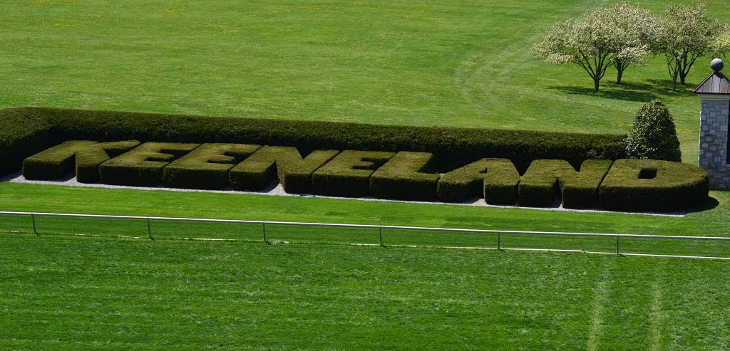 Keeneland Hedges by uclynch