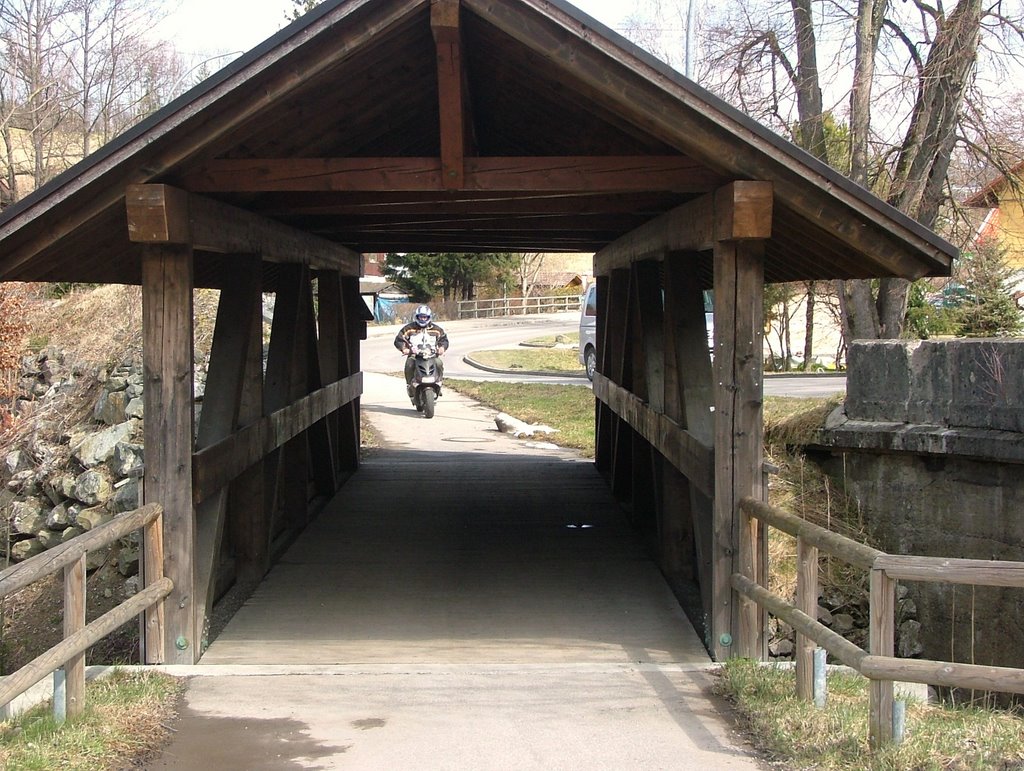 Überdachte Fußgänger-und Zweiradbrücke by Mayer Richard