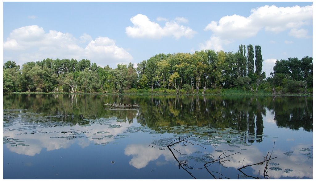 Tisza-Holtág Tiszaalpár by Martini János