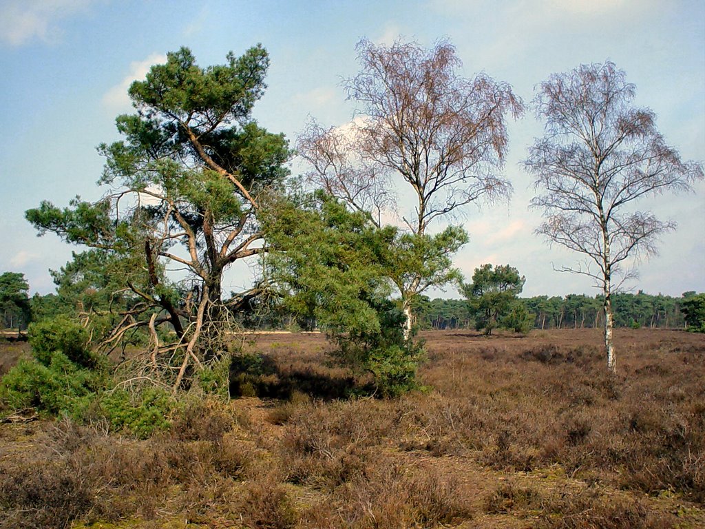 Kamerven, Stiphoutse Bossen, Gerwen by uaf