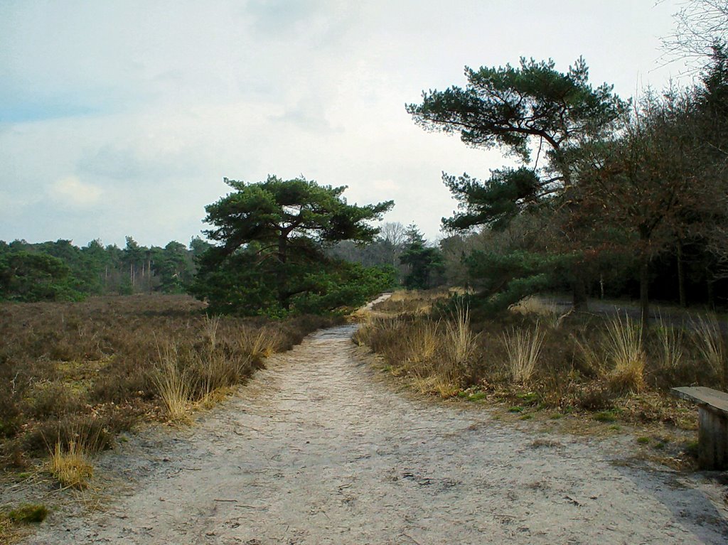 Stiphoutse Bossen, Stiphout (Helmond) by uaf