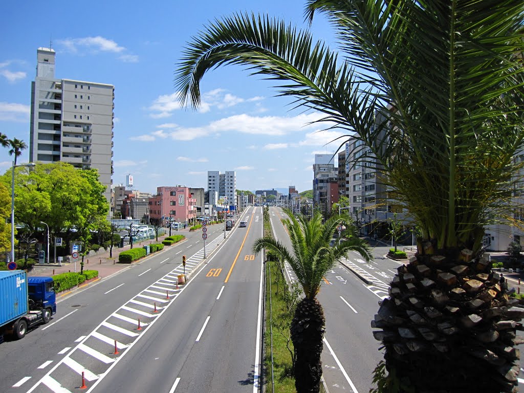 堺市民会館前歩道橋から中央環状線東方面を望む by sakaiward