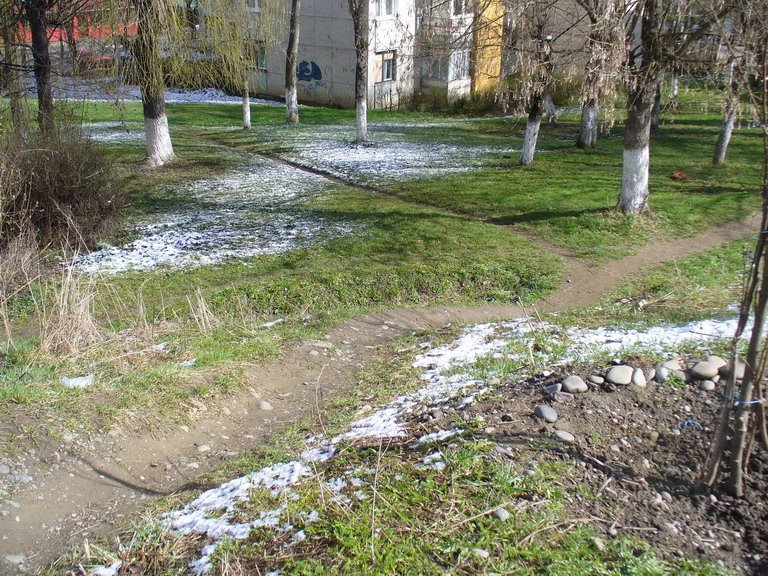 TgMures - Tudor - spring snow green & white by jeffwarder