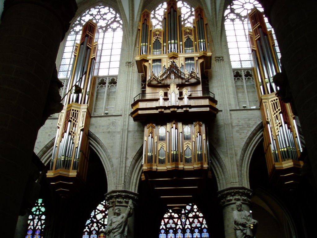 Órgano de la catedral de Bruselas, Bélgica by carloxtron