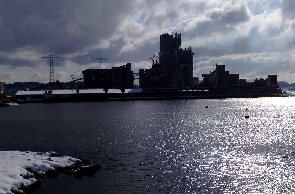 Fertilizer plant in blue winter sun (Nokia N95) by PASO