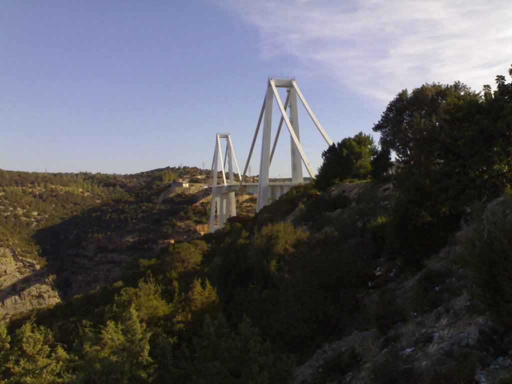 Wadi Alkouf viaduct at Green Mountain by Milovan Marković