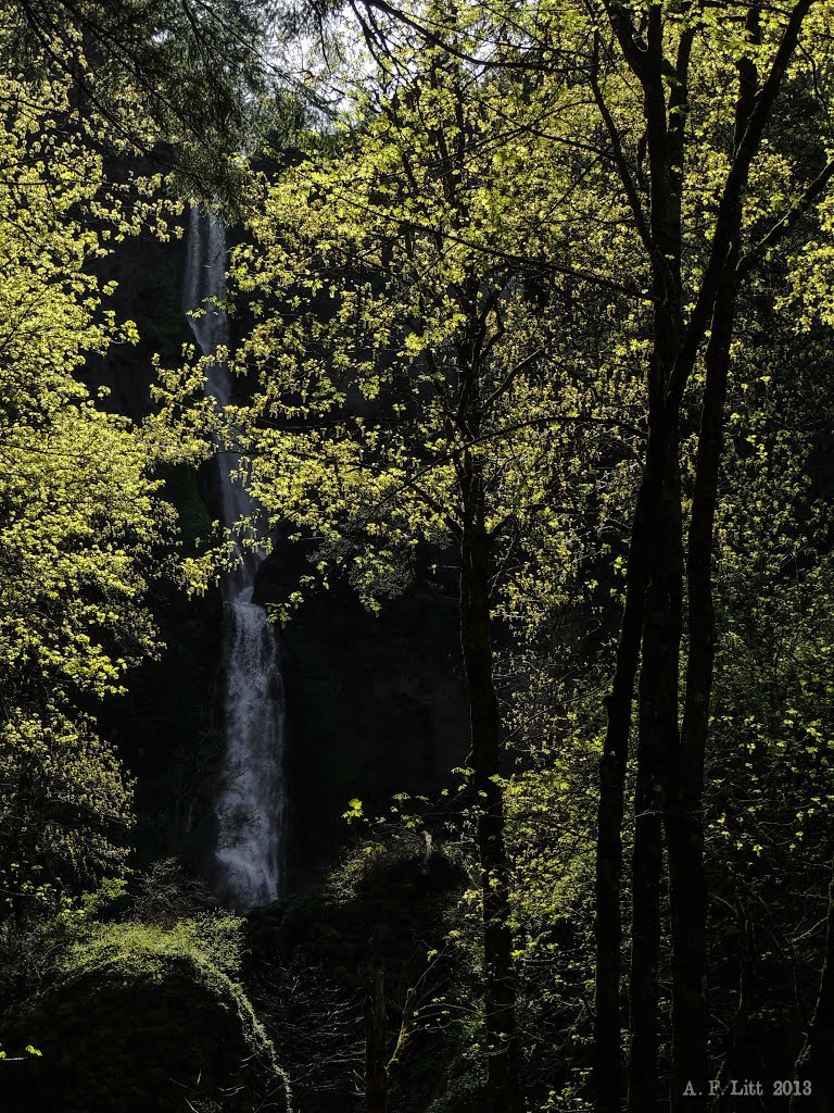 Towards the Falls by A. F. Litt