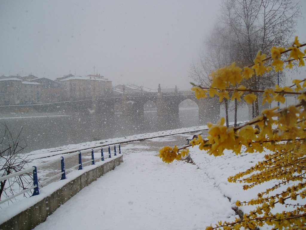 Primavera invernal 21-03-07 by Javi Aljasu (Miranda…