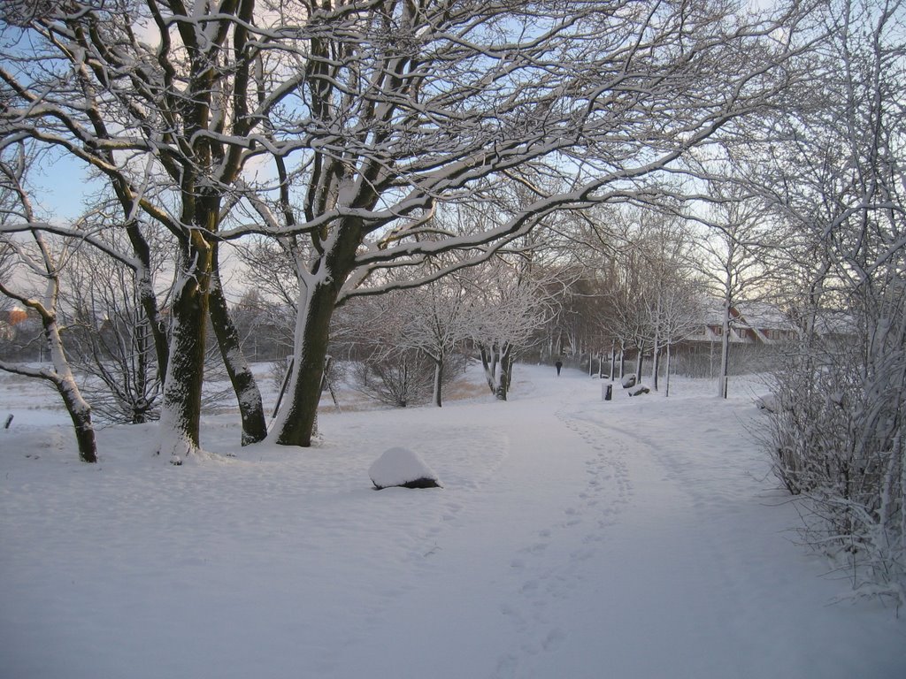 Schneelandschaft by IXUS