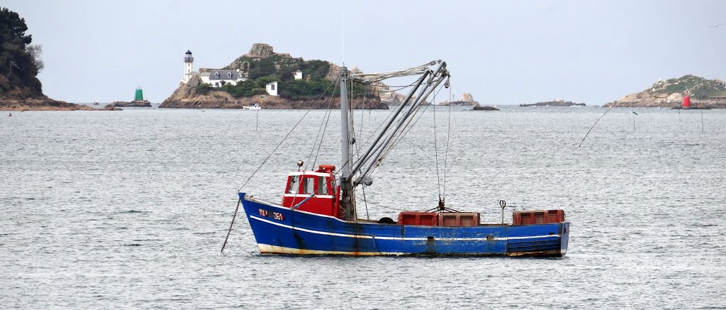 L'île louët,et le taureau(vue du frout) by voigtlander,jp.pourcines