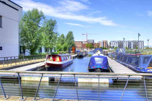 New Islington Marina, New Islington by Wildlife Reporter