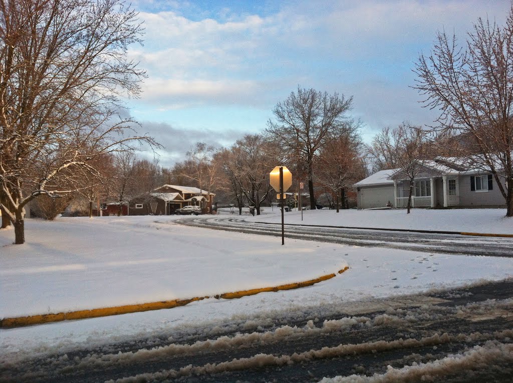 (Hopefully) The Last Snow of the Spring of 2013 by Aaron Carlson