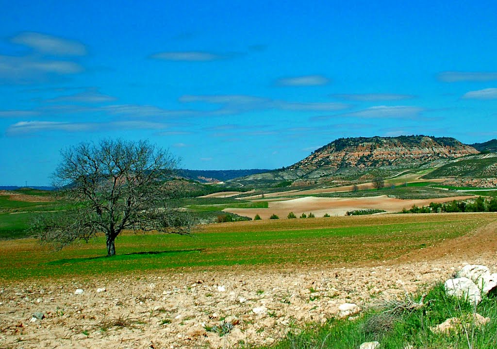 Por tierras de Armuña de Tajuña by fotochicho