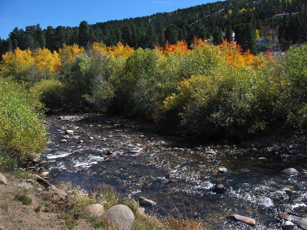 Nederland Creek, dressed in Fall by Surmonk