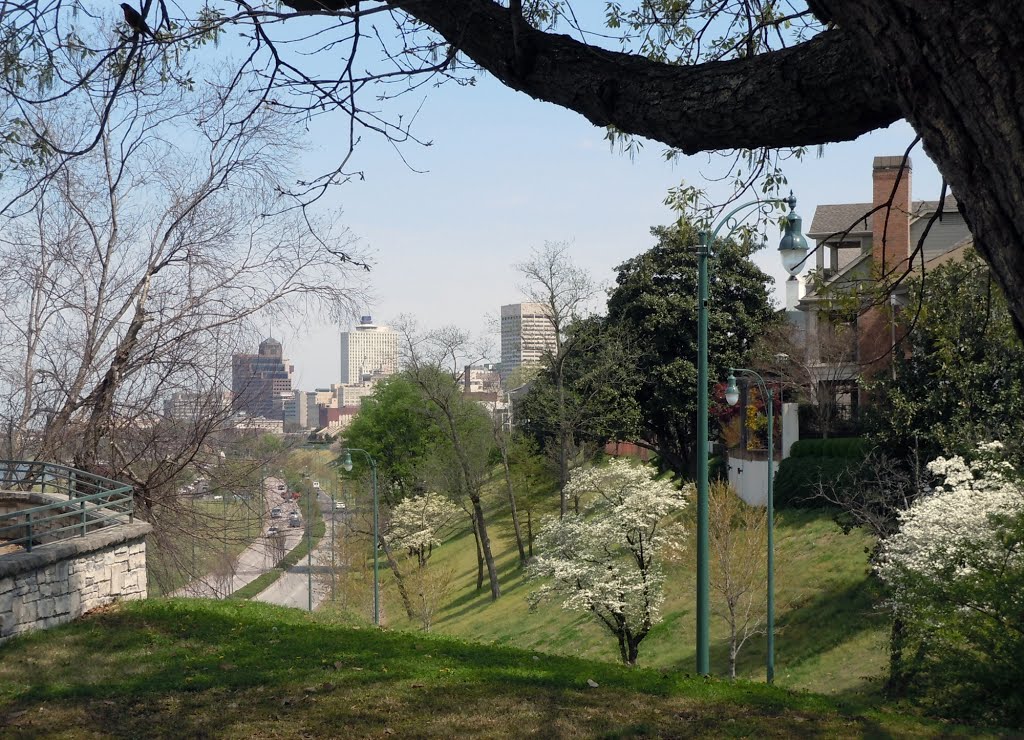 Memphis, Tennessee In Spring by NEAN