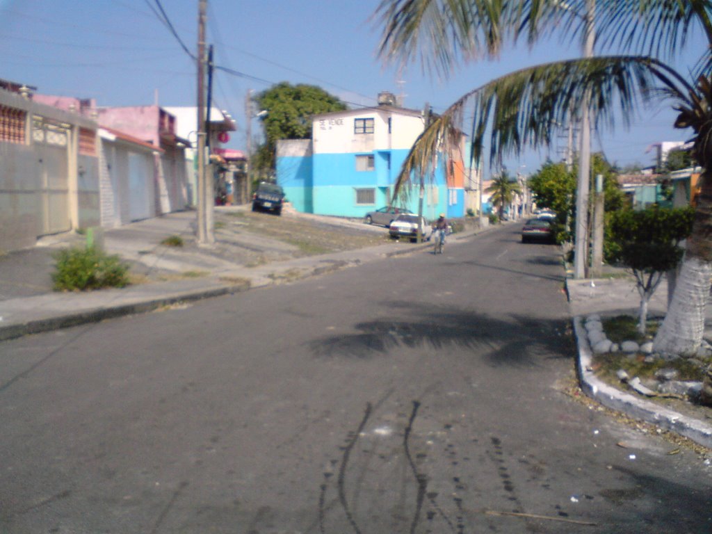 Calle Cedros by MAKROTEKNO