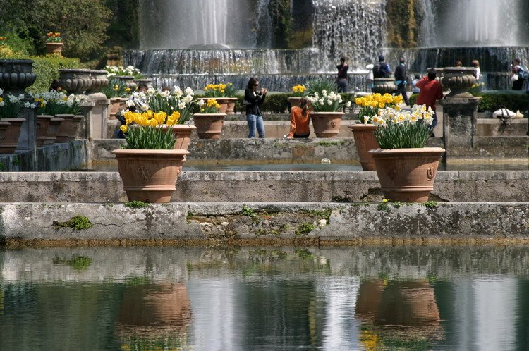 Fountains in Villa D'Este by Quique Morrique