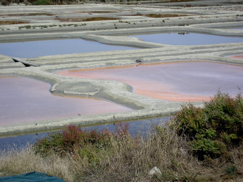 Fleur de sel Marais de guérande en été by dom44