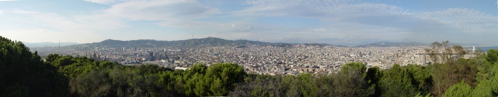 Barcelona Panorama by Hans Hartings