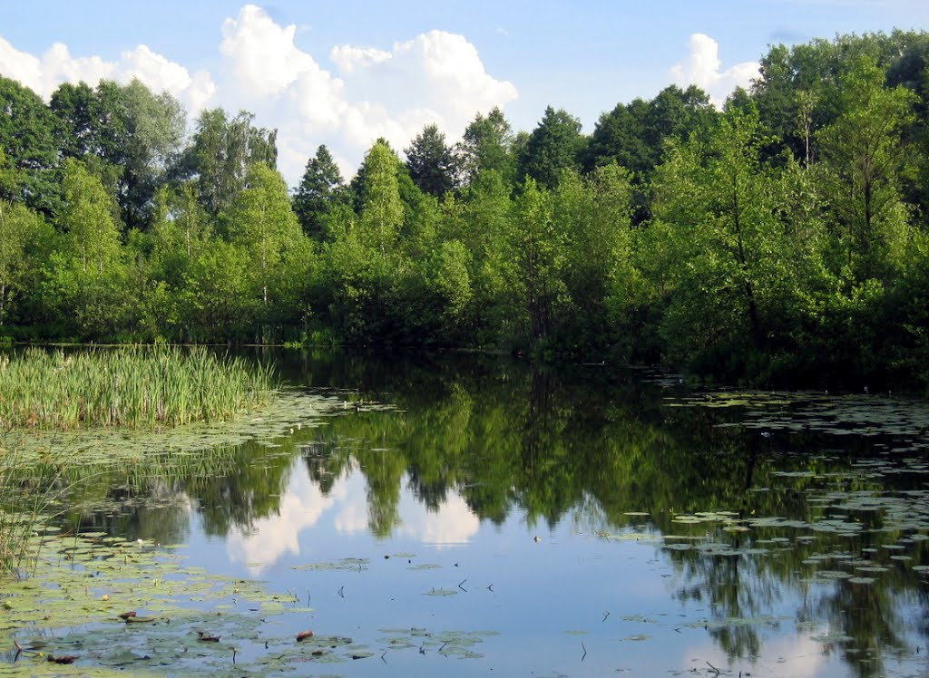 Zbiornik wodny, Kurzętnik by Laura Jaszowska