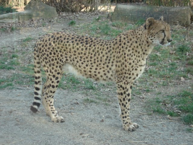 ZOO Zagreb, CRO_ by Mirko.K.