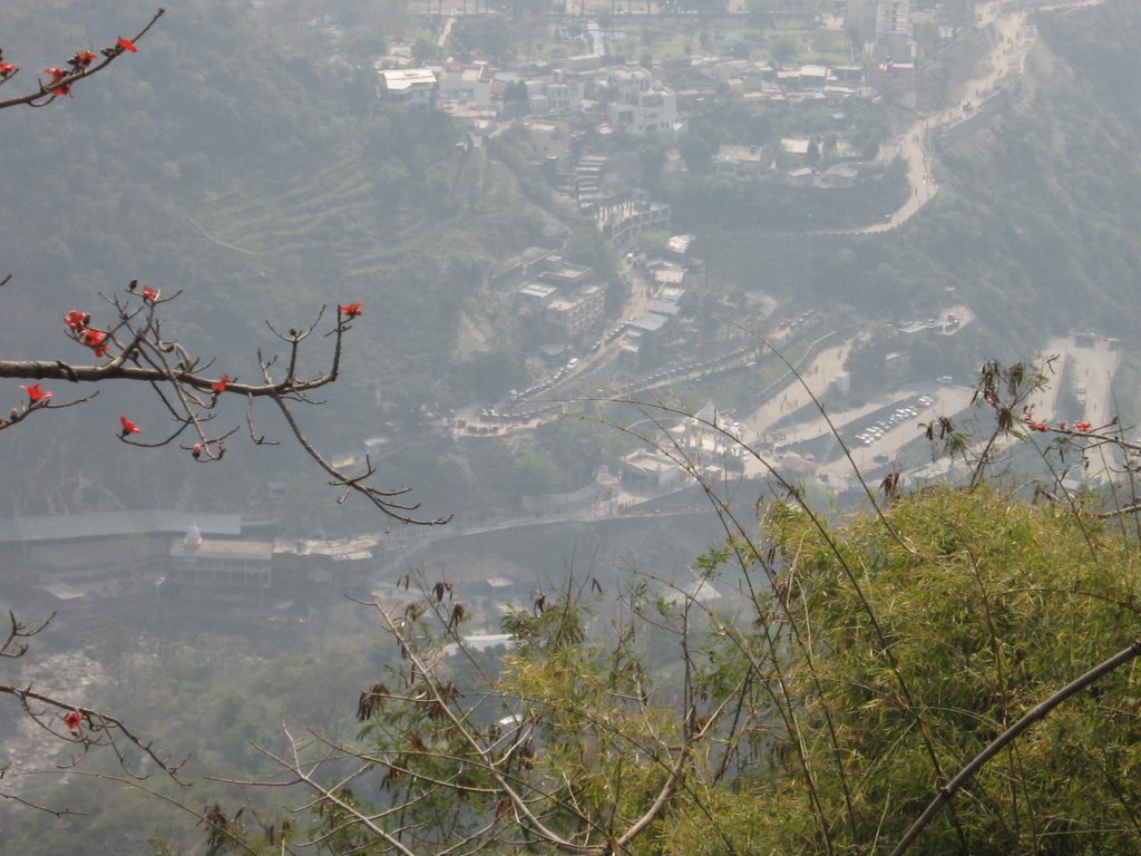 View Ban Ganga from the hills, Jammu, India by Bipul Keshri