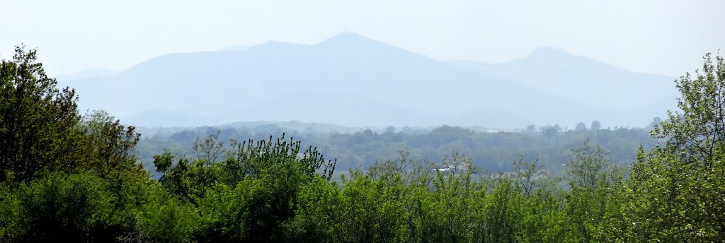 Vues des Pyrénées entre Cagnotte et Sorde l'Abbaye (Landes) by Peregrino2013