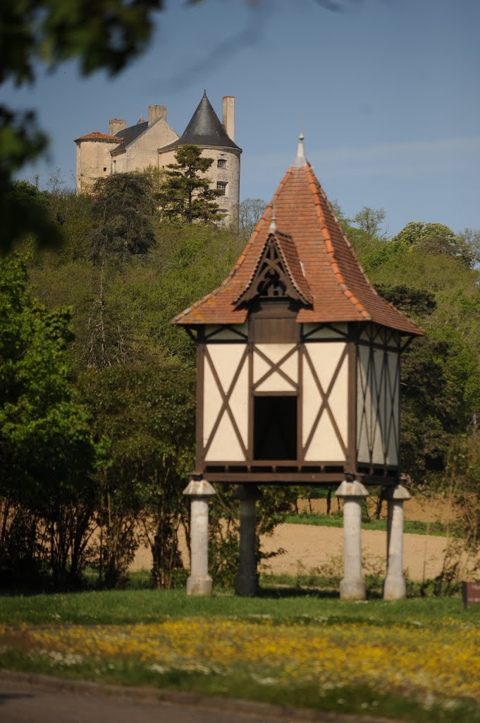 Pigeonnier et Château de Buzet sur Baïse by Dominique Salé