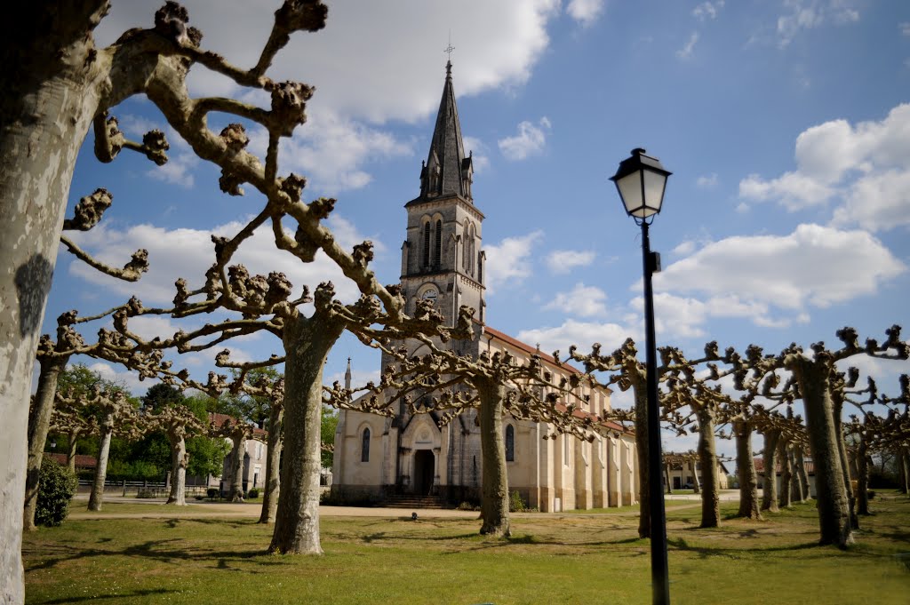 Eglise de Labrit by Dominique Salé