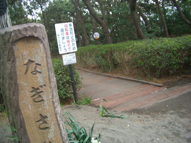 Nagisa Park,Chigasaki by pyoipyoi