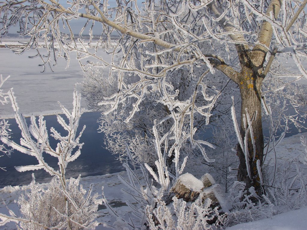 Volga river by Nata Putevodka