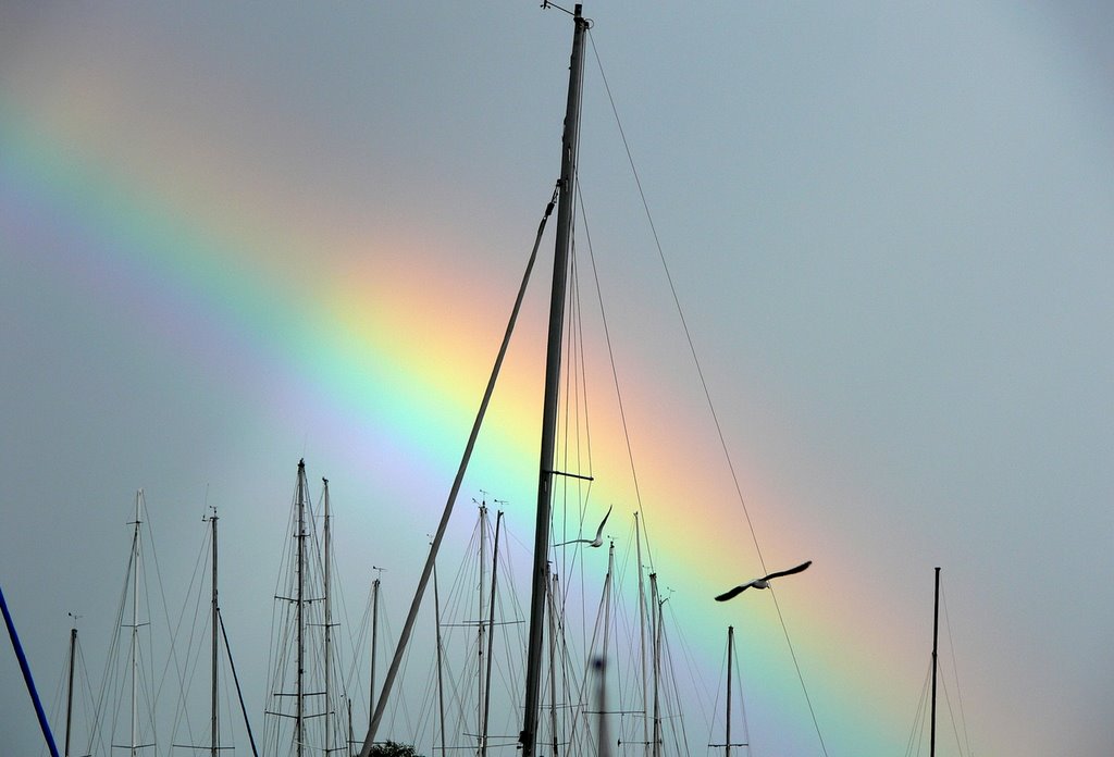 Rainbow thru the Masts by Craig Ward