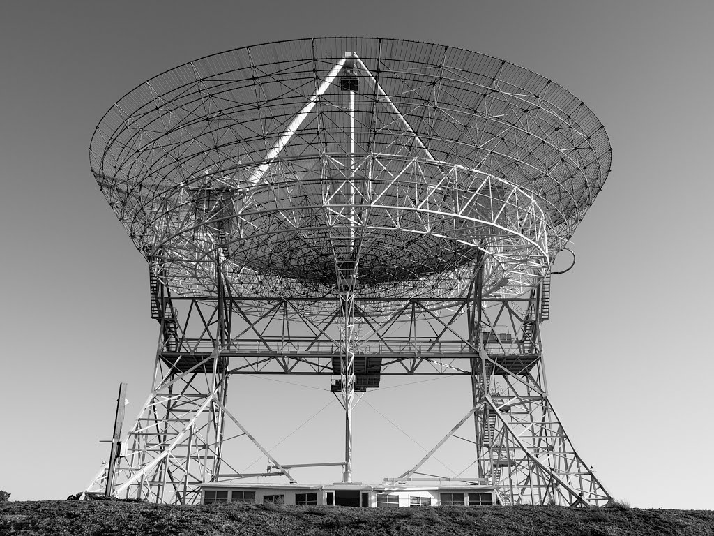 Stanford Dish by bkleemann