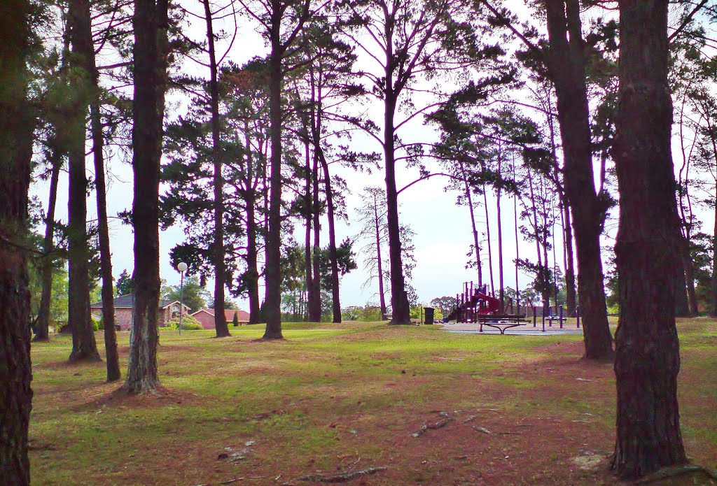 Cherrybrook , open play area in Kanangra Reserve ... by Michael Caine