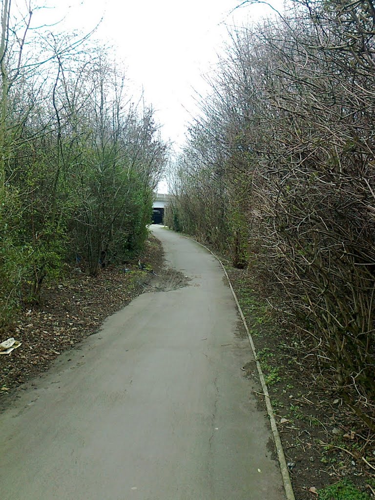 Footpath/cycleway by Shimmerxxx