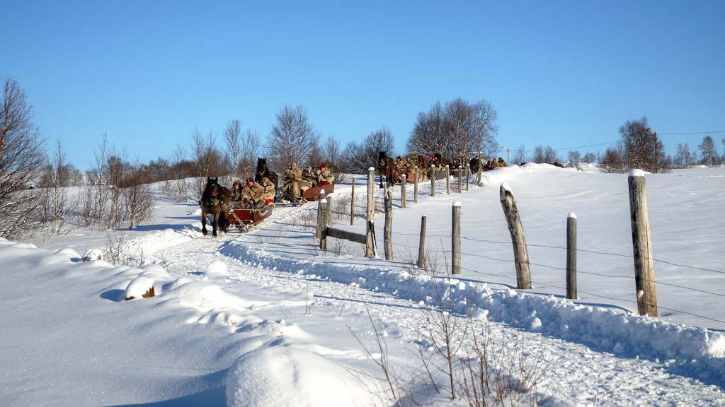 Lasskjørere, Småhagan, Røros by Tore Vefferstad